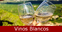 Selección de Vinos Blancos