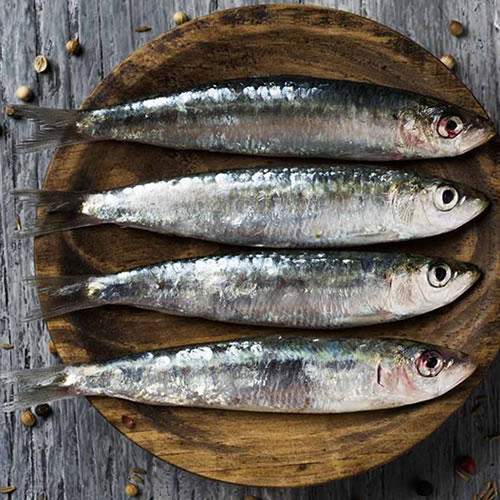 Cómo maridar vino con pescado azul